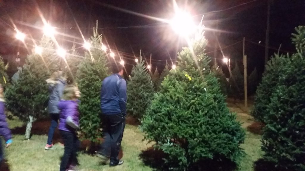 Dave's Maine Christmas Trees and Wreaths, Lynchburg, Virginia