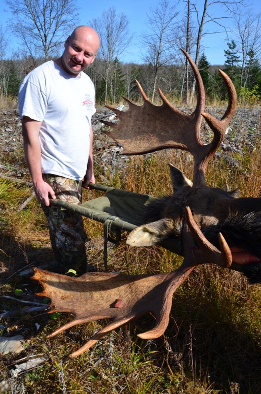 Maine Trophy Bull Moose - Canoe the Wild
