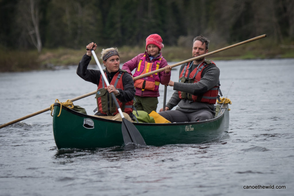 Allagash River Canoe Trips, Family Friendly, Best Moose Viewing Trip