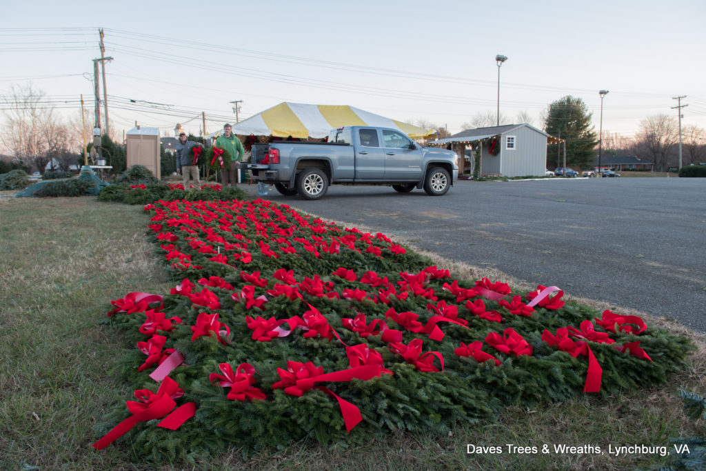 Dave's Maine Christmas Trees and Wreaths, Lynchburg, Virginia