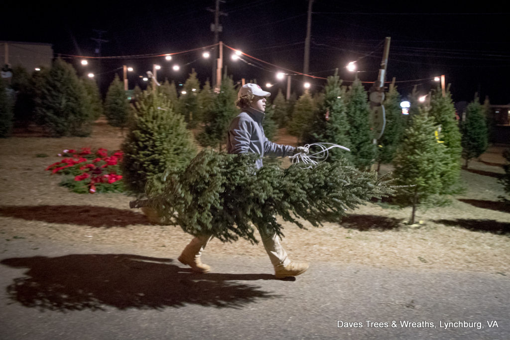 Dave's Maine Christmas Trees and Wreaths, Lynchburg, Virginia