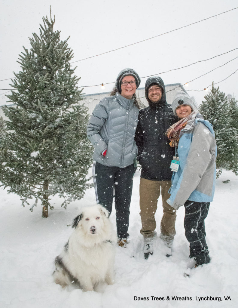 Dave's Maine Christmas Trees and Wreaths, Lynchburg, Virginia