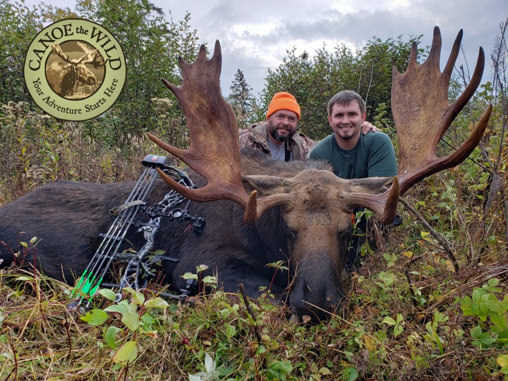 Bow hunting Maine moose - Canoe the Wild