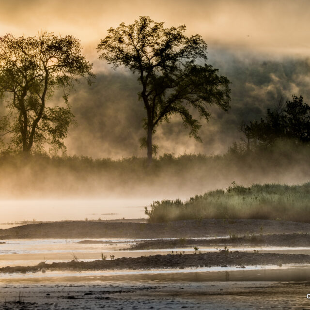Allagash Canoe Trip, June 11-14, 2020