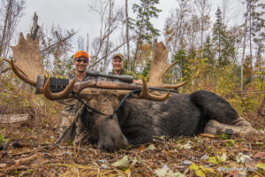 guided Maine moose hunts
