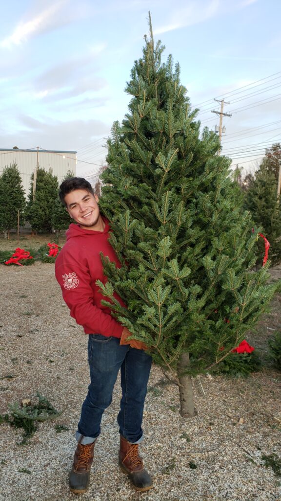 Dave's Maine Christmas Trees and Wreaths, Lynchburg, Virginia