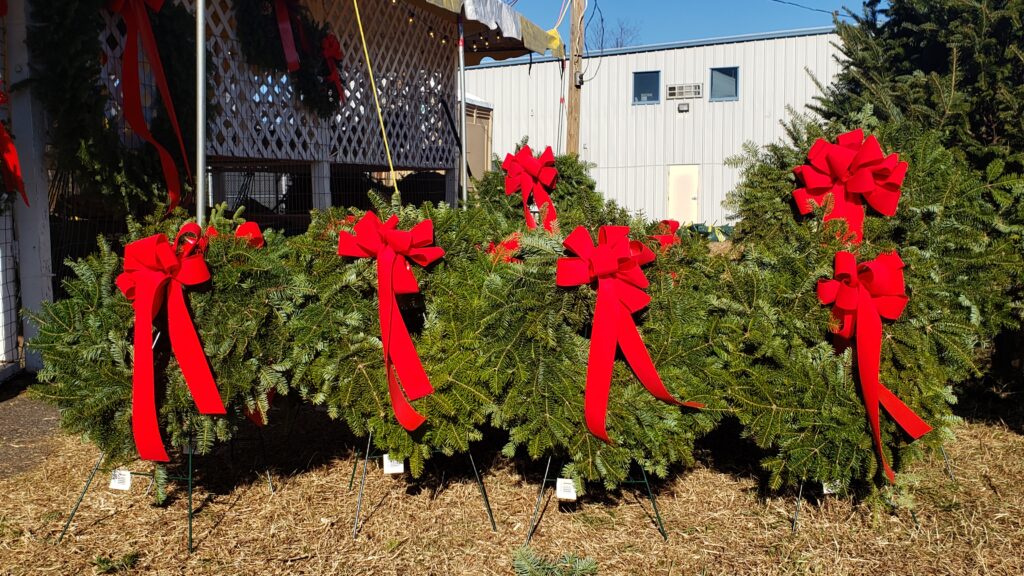 Dave's Maine Christmas Trees and Wreaths, Lynchburg, Virginia
