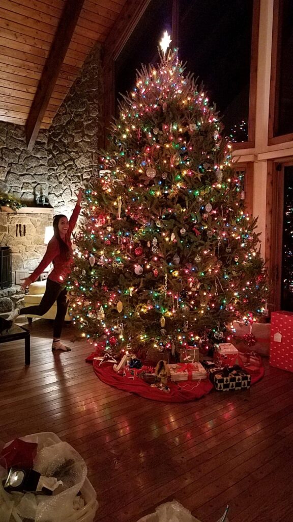 Dave's Maine Christmas Trees and Wreaths, Lynchburg, Virginia