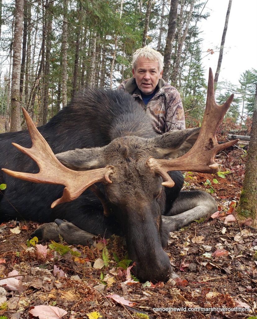 Maine Moose Hunting Outfitter & Guide in WMD 1,2,3,4,5,6,&11.