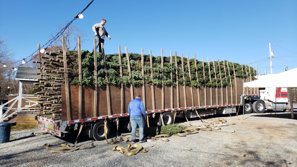 Dave's Maine Christmas Trees and Wreaths, Lynchburg, Virginia