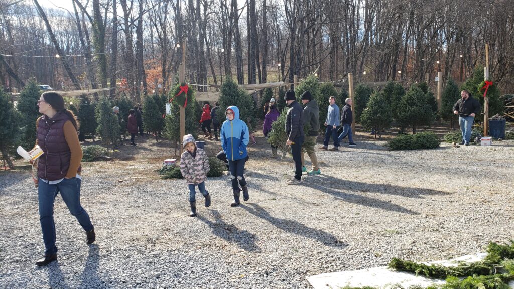 Dave's Maine Christmas Trees and Wreaths, Lynchburg, Virginia