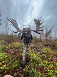 trophy maine moose hunts