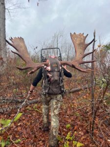 guided maine trophy moose hunts outfitter