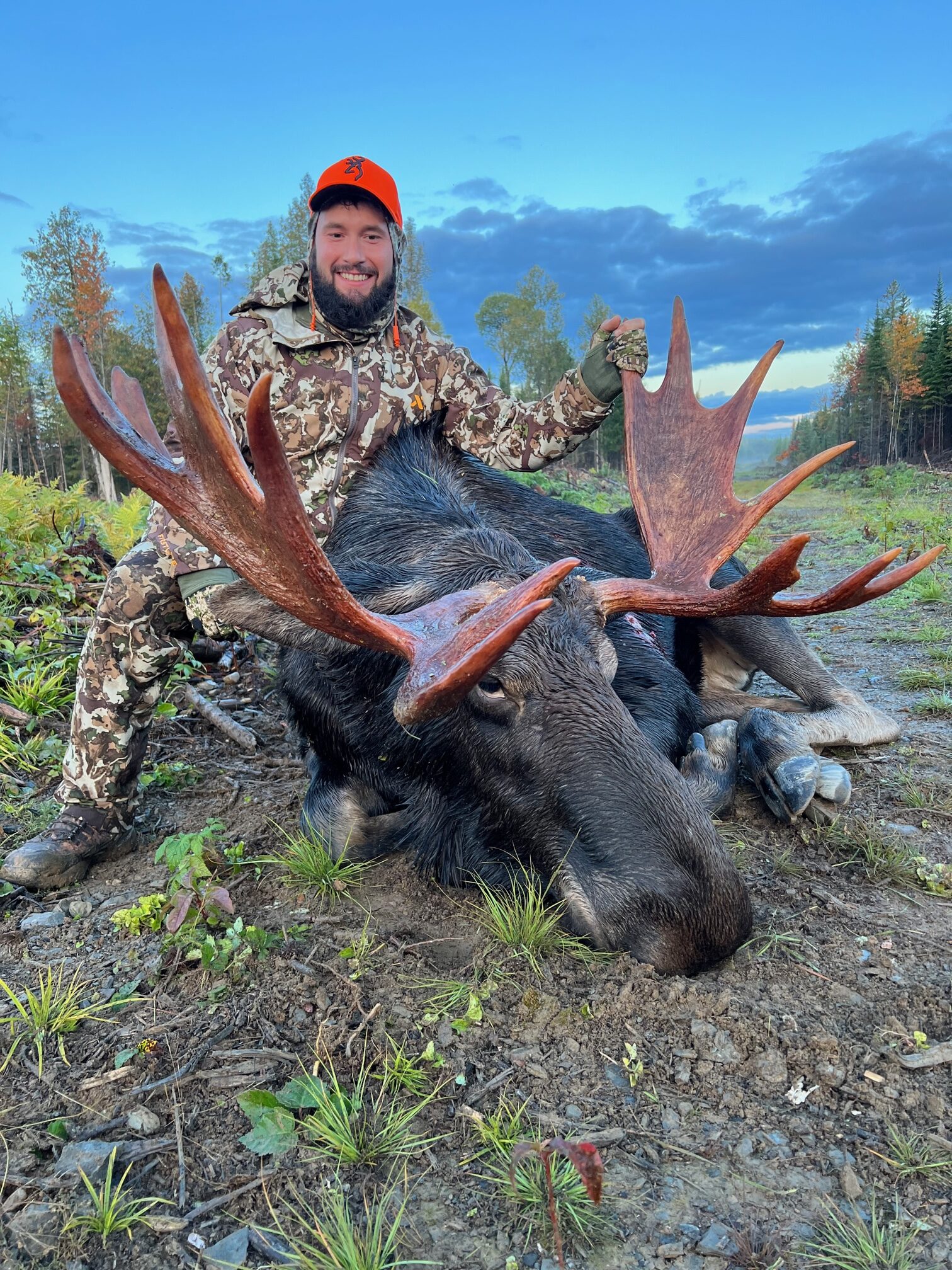 trophy maine moose hunting