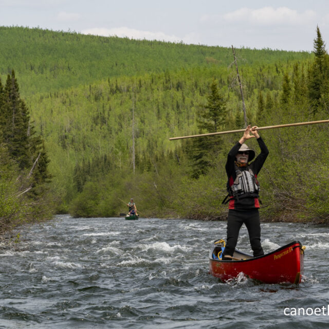Bonaventure River, June 2023