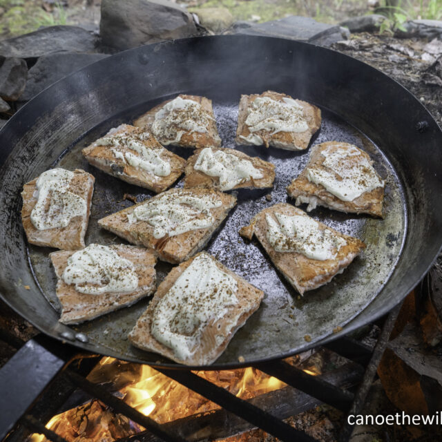 Canoe the Wild Allagash Trip, August 3-7, 2023