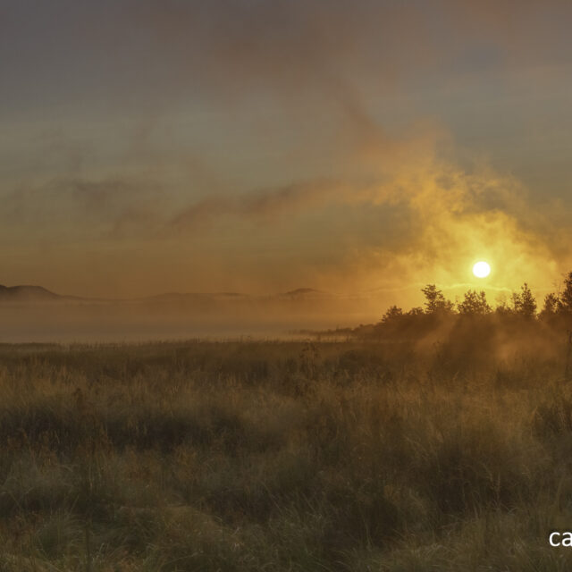 7 Day Allagash Canoe Trip, August 20-26, 2023
