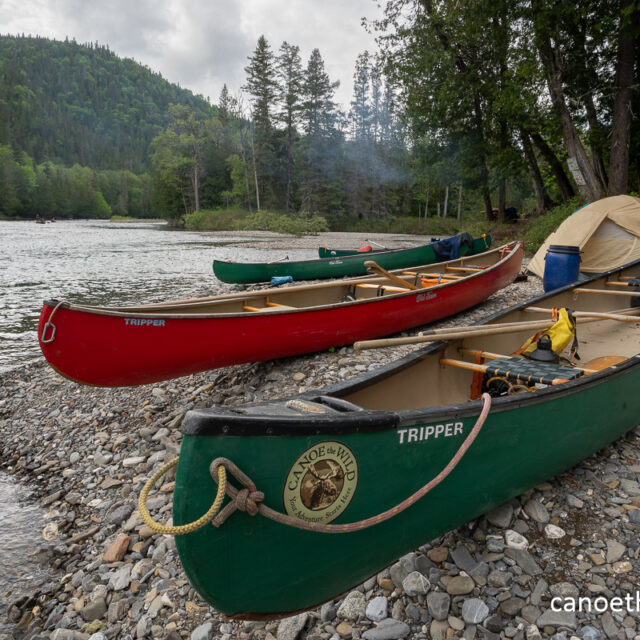 Bonaventure River Canoe Trip 2025