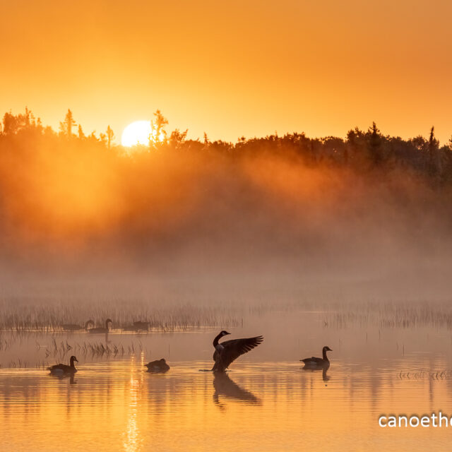 3 Day St Croix River Canoe Trip, August 16-18,, 2025