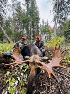 guided maine moose hunting trips, north Maine woods, WMD 1, WMD 2