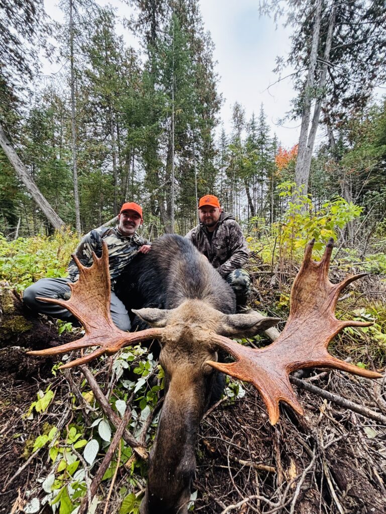 guided maine moose hunting trips, north Maine woods, WMD 1, WMD 2