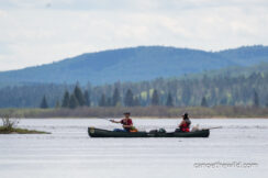 Canoe the Wild guided tour Allagash 29