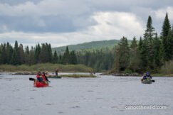 Canoe the Wild guided tour Allagash 30