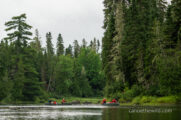 allagash-tall-trees-and-canoes